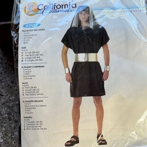 California Costumes Black and Gold Pharaoh Outfit